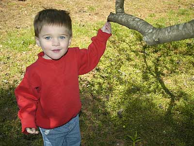 Jack in the Backyard