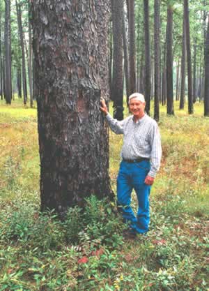 Leon Neel stands by a centuries-old longleaf pine on Greenwood Plantation. Where he's been a consulting forester and wildlife manager for over 50 years. Photo by Richard T. Bryant. Email richard_t_bryant@mindspring.com