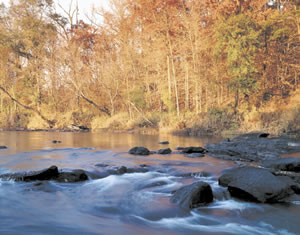 Class II rapids, like these pictured at Daniel Shoals,are common to the Flint River in the fall line zone. Photo by Richard T. Bryant. Email richard_t_bryant@mindspring.com