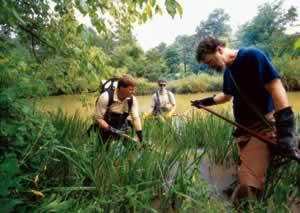 From left, Mike Spencer, John Biagi, and Wayne Starnes wade into the waters of the Chattahoochee Nature Center in search of the eel.Photo by Richard T. Bryant. Email richard_t_bryant@mindspring.com.