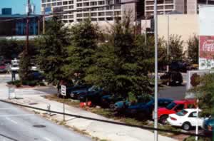 Spring Street at Nassau Street after a planting by Trees Atlanta.