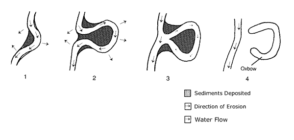 Figure 3: The Meadering Process and Oxbow Formation in a Tidal Creek.