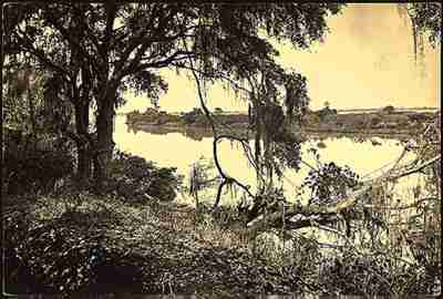 Savannah River near Savannah, 1865, by George Barnard.