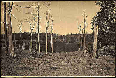 Resaca battlefield, 1865, by George Barnard.