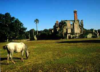 Sherpa Guides Georgia Coast Southern Coast Cumberland Island National Seashore