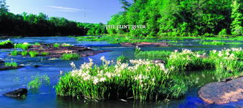 Click to read The Flint River