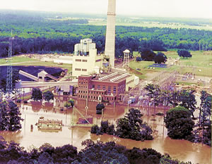 Plant Mitchell (Georgia Power Co.) near Albany, GA 7/14/94. Photo courtesy of USGS. T.W. Hale.