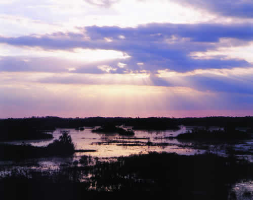 As the swamp fills with darkness, special sights and sounds emerge.  The sun sets over the east side of the Okefenokee. Photo by Richard T. Bryant. Email richard_t_bryant@mindspring.com