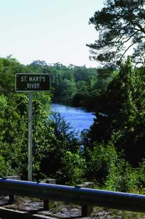 The St. Mary's River has its headwaters in the swamp. Photo by Richard T. Bryant. Email richard_t_bryant@mindspring.com