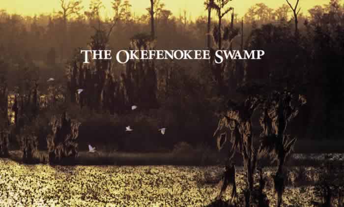 Sherpa Guides | Georgia | The Natural Georgia Series: The Okefenokee