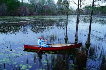 Okefenokee Joe paddles across the pond at Bear Grass Camp. Photo by Richard T. Bryant. Email richard_t_bryant@mindspring.com