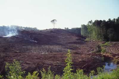 Figure 17. An example of destructive construction practices relative to soil conservation and abusive sedimentation of atributary to Noonday Creek. Note the lack of sediment screens around the tributary. This site is immediately north of the junction of Chastain and Big Shanty roads, Kennesaw,GA, date 9 July 1991 (photograph by N. M. Burkhead).