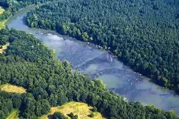 Figure 5. Aerial photograph of the Etowah River below Allatoona Dam showing V shaped fish traps constructed by Native Americans (photograph by Richard T. Bryant richard_t_bryant@mindspring.com)