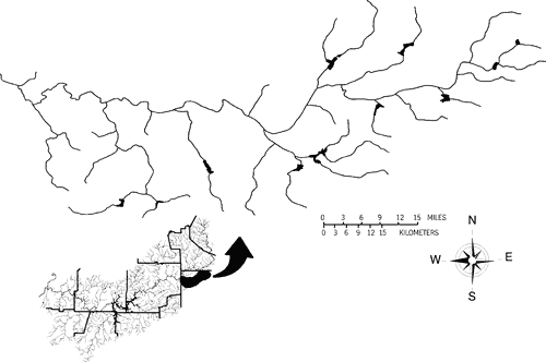Figure 15. Density of farm ponds in the Settingdown Creek system in the upper Etowah River watershed. Farm ponds indicated by solid outlines.