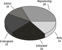 Figure 3: Status (as of 1994) of the 91 species of freshwater mussels that occured historically in the Tennessee River.